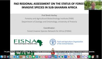 FABI and FAO co-host a webinar on invasive plants affecting Africa’s natural and planted forests 